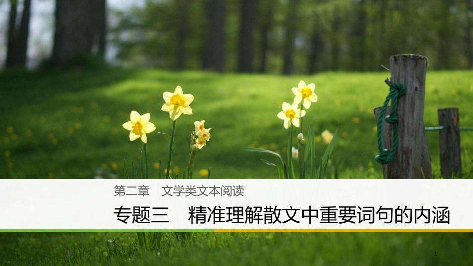 （全国通用）高考语文大二轮复习与增分策略 第二章 文学类文本阅读 专题三 精准理解散文中重要词句的内涵课件_第1页