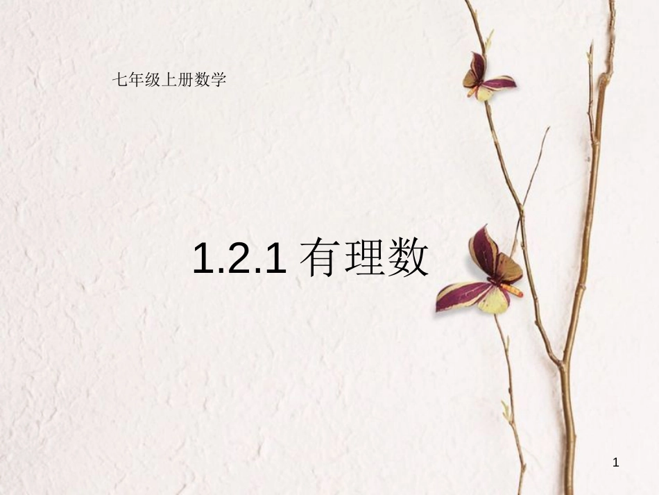 陕西省安康市石泉县池河镇七年级数学上册 1.2 有理数 1.2.1 有理数课件 （新版）新人教版_第1页