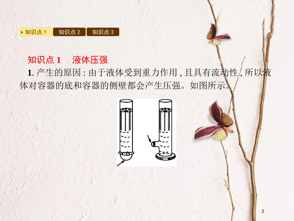 八年级物理下册 8.2研究液体的压强课件 （新版）粤教沪版_第2页