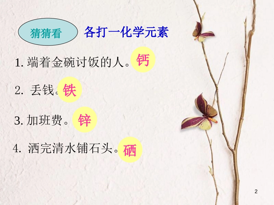 山东省莱州市沙河镇九年级化学全册 第五单元 化学与健康 第二节 元素与人体健康课件 鲁教版五四制_第2页