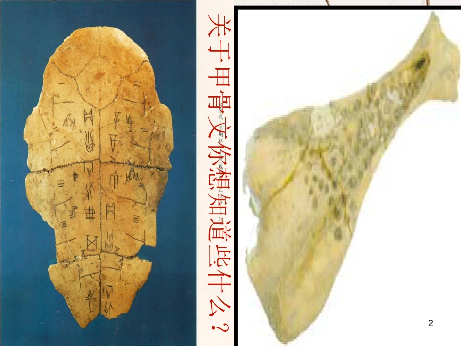 七年级历史上册 第二单元 国家的形成与发展 5 甲骨文与青铜器课件8 冀教版_第2页