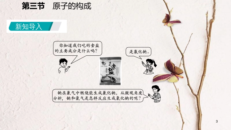 九年级化学上册 第二单元 探秘水世界 3 原子的构成 2.3.2 原子质量的计量与原子中的电子课件 （新版）鲁教版_第3页