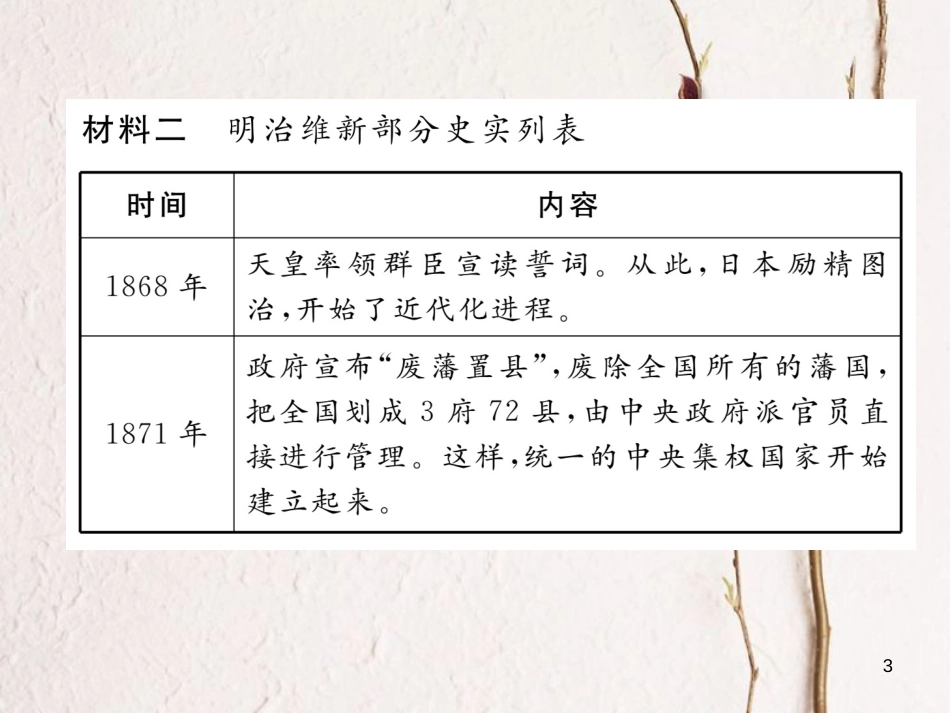 （河北专版）中考历史总复习 第15讲 资产阶级统治的巩固与扩大典型题目解析课件_第3页