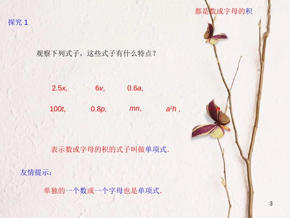 七年级数学上册 2.1 整式（2）课件 （新版）新人教版_第3页