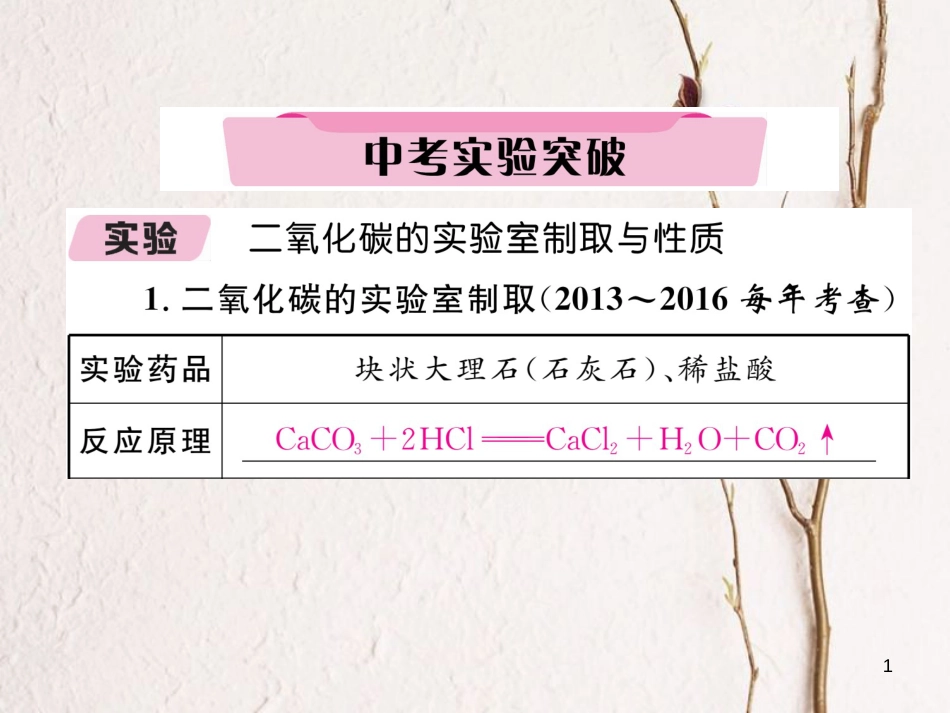 （青海专版）中考化学复习 第1编 教材知识梳理篇 第6单元 碳和碳的氧化物中考实验突破（精讲）课件_第1页