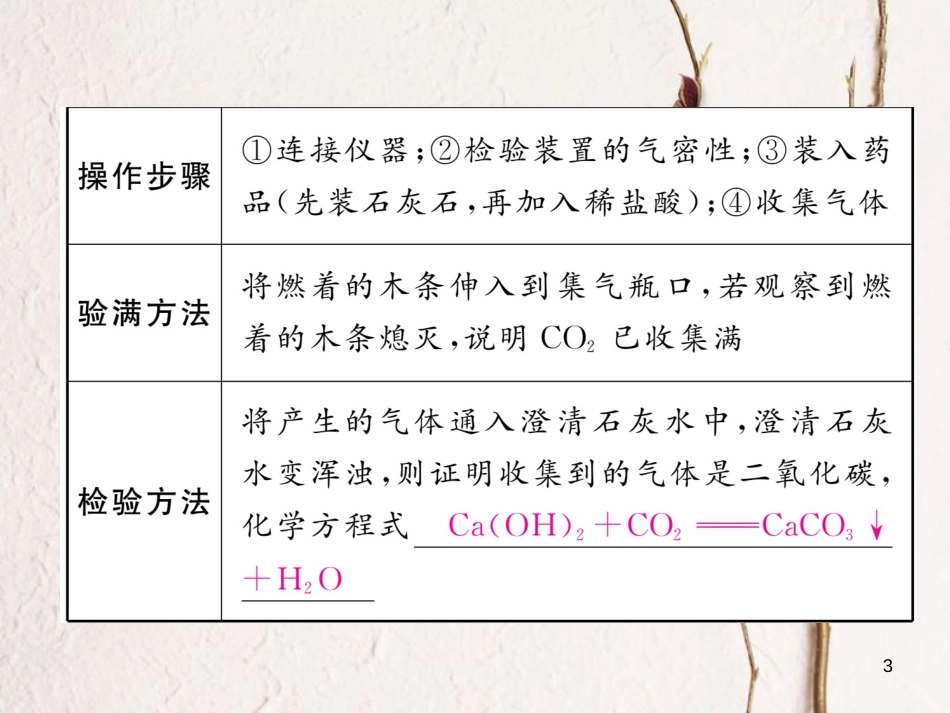 （青海专版）中考化学复习 第1编 教材知识梳理篇 第6单元 碳和碳的氧化物中考实验突破（精讲）课件_第3页