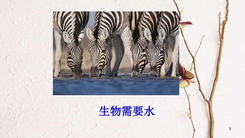 江苏省仪征市八年级物理上册 2.5水循环课件2 （新版）苏科版_第3页