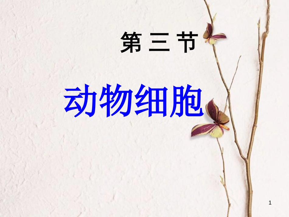 湖南省桑植县七年级生物上册 第二单元 第一章 第三节 动物细胞课件 （新版）新人教版_第1页