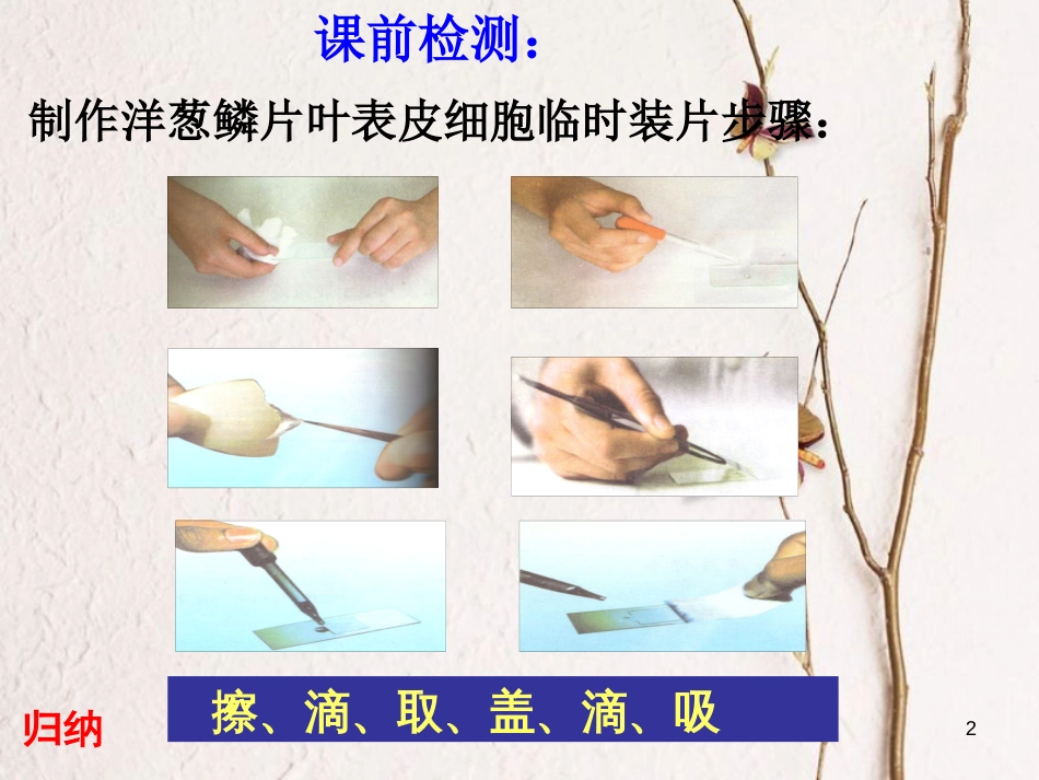 湖南省桑植县七年级生物上册 第二单元 第一章 第三节 动物细胞课件 （新版）新人教版_第2页