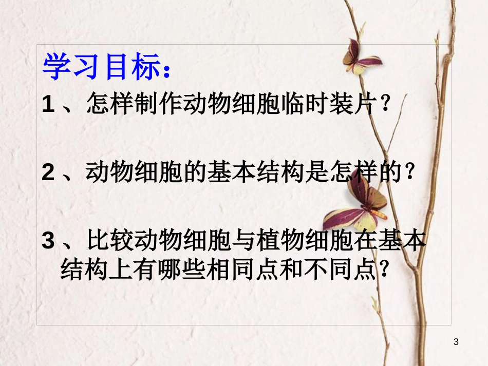 湖南省桑植县七年级生物上册 第二单元 第一章 第三节 动物细胞课件 （新版）新人教版_第3页
