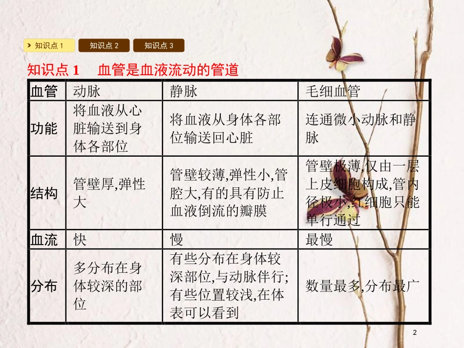 2018七年级生物下册 9.2 血液循环课件1 （新版）北师大版_第2页