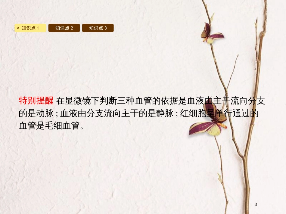 2018七年级生物下册 9.2 血液循环课件1 （新版）北师大版_第3页