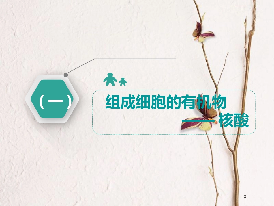 （全国通用版）2019版高考生物一轮复习 第1部分 分子与细胞 第一单元 细胞及其分子组成 第5讲 核酸、糖类和脂质课件_第3页
