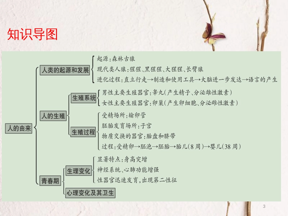 广东省中考生物 第四单元 生物圈中的人 第一章 人的由来课件_第3页