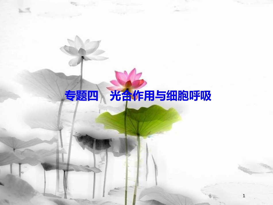 届高考生物大二轮复习 第1部分 重点讲练突破 专题四 光合作用与细胞呼吸课件_第1页