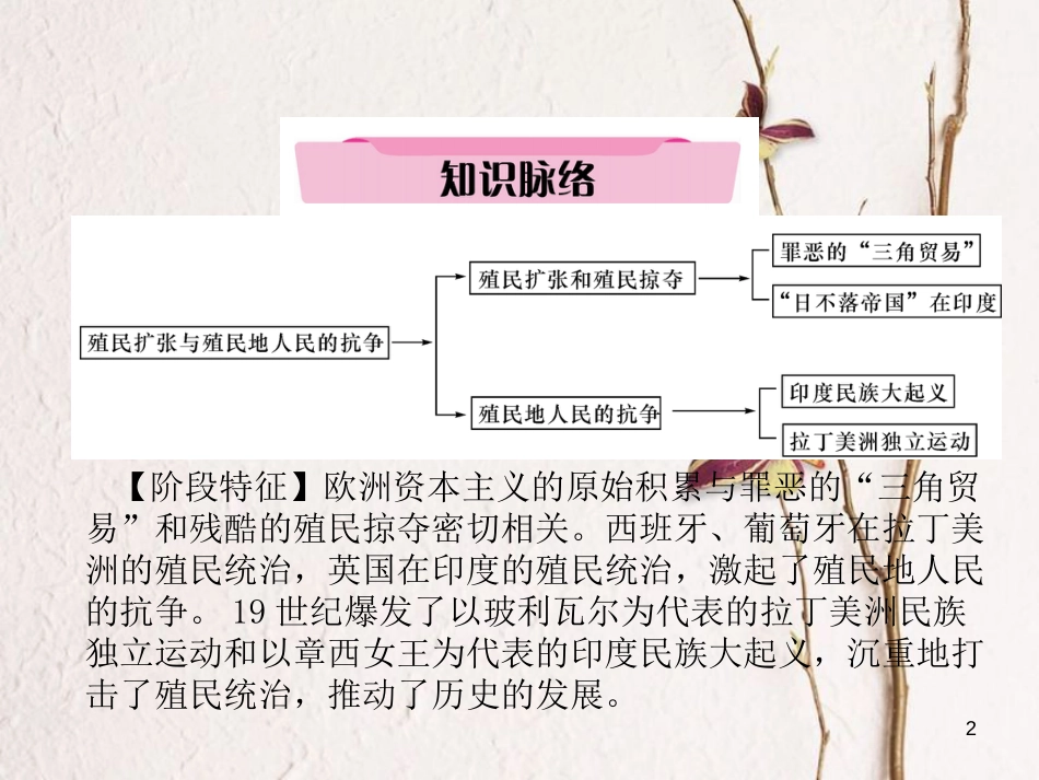（青海专版）中考历史总复习 第一编 教材知识梳理 第22讲 殖民扩张与殖民地人民的抗争课件_第2页