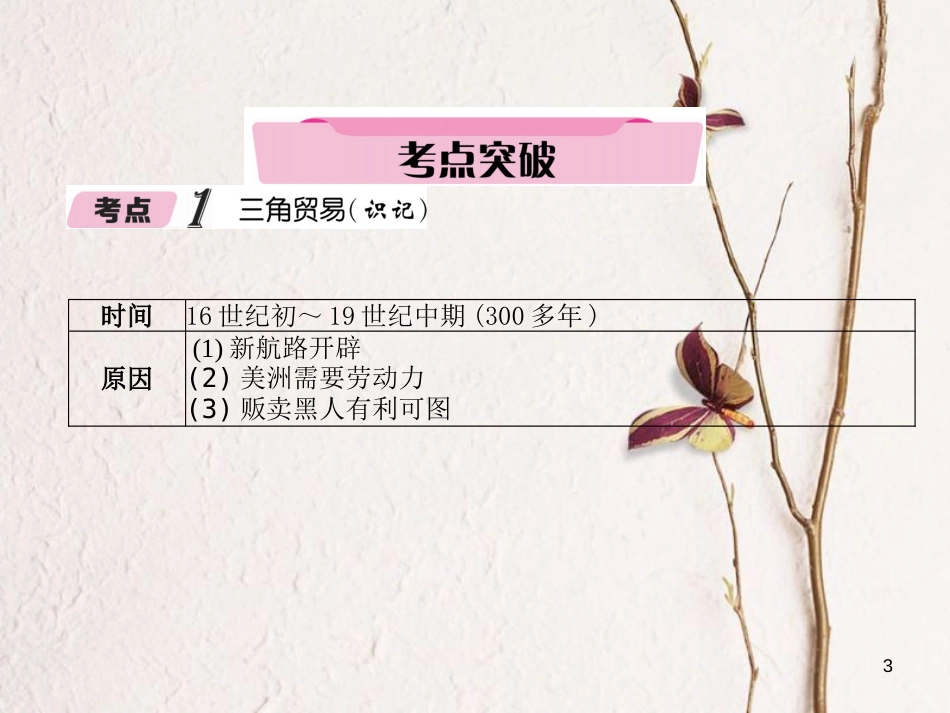 （青海专版）中考历史总复习 第一编 教材知识梳理 第22讲 殖民扩张与殖民地人民的抗争课件_第3页