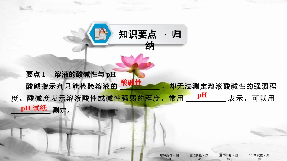 中考化学 第一部分 教材同步复习 第10单元 课时2 课件_第2页