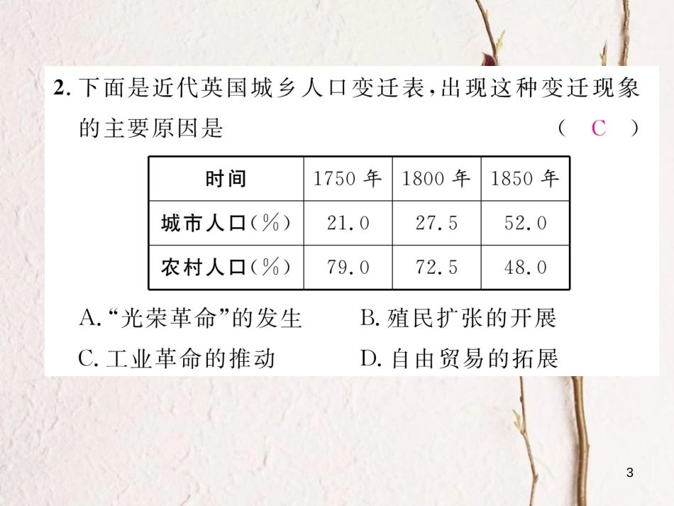 （河北专版）中考历史总复习 第16讲 两次工业革命考点攻关练课件_第3页