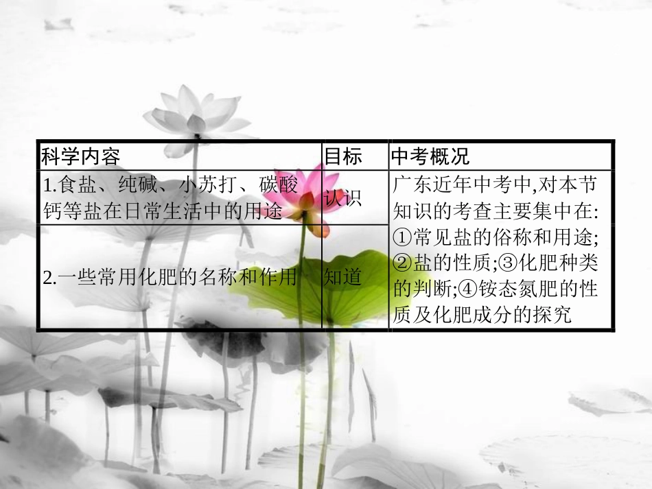 届中考化学复习 第一模块 分类复习 3.11 常见的盐和化学肥料课件 （新版）新人教版_第2页