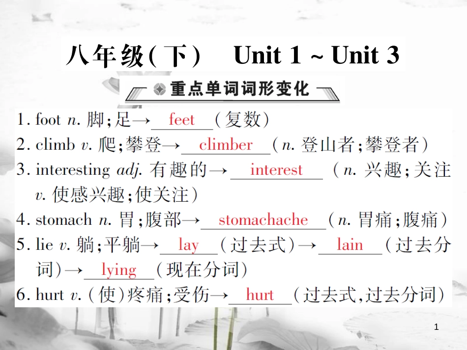 届中考英语复习 第一轮 教材回顾 八下 Unit 1-Unit 3课件_第1页