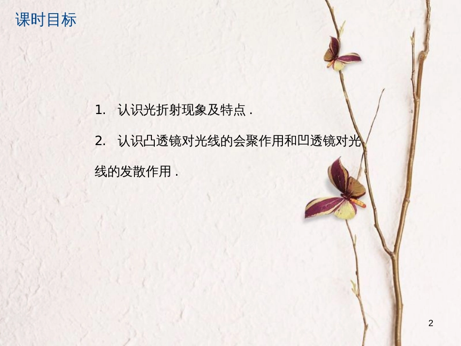 江苏省大丰市中考物理第6课时光的折射透镜复习课件_第2页