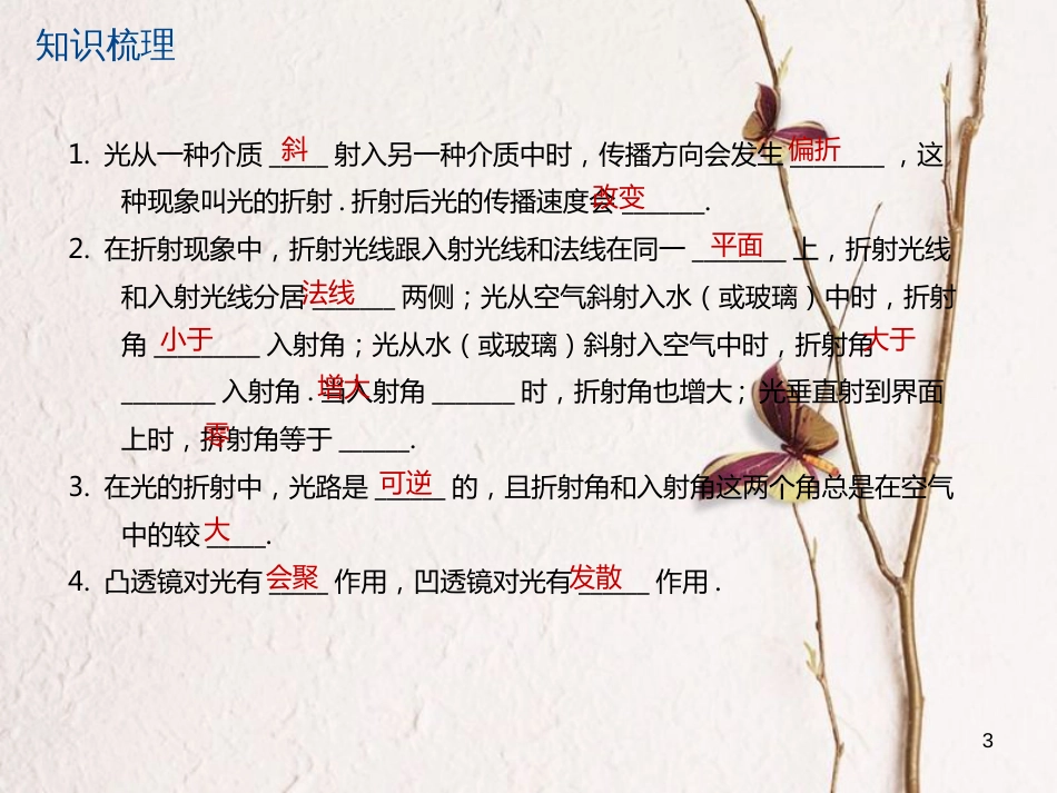 江苏省大丰市中考物理第6课时光的折射透镜复习课件_第3页