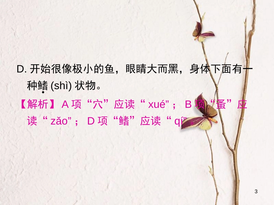 八年级语文上册 第五单元 19 蝉课件 新人教版_第3页