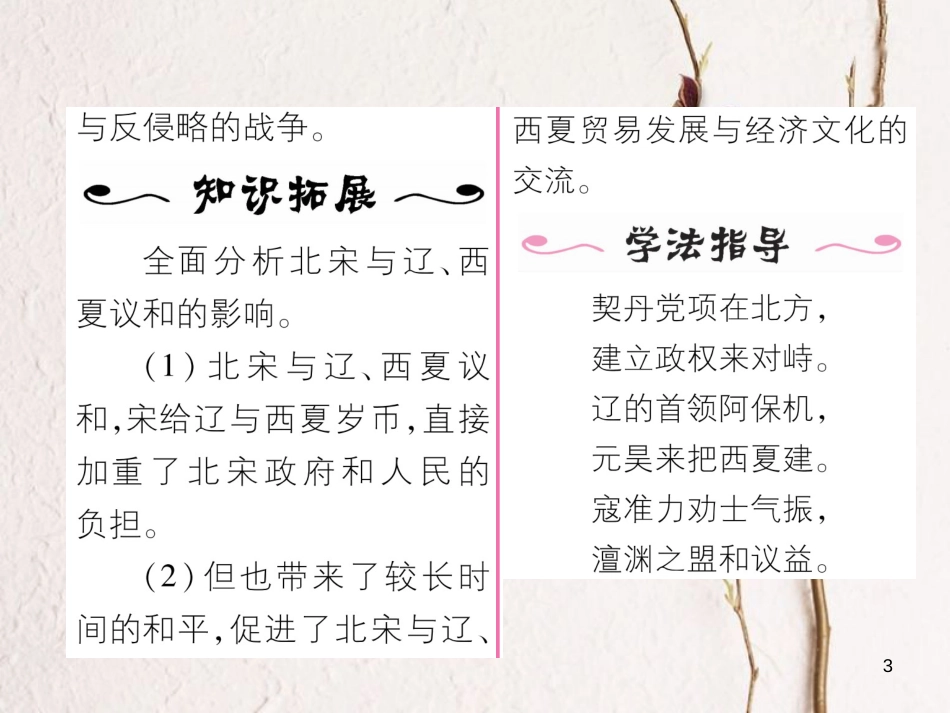 七年级历史下册 第2单元 辽宋夏金元时期：民族关系发展和社会变化 第7课 辽、西夏与北宋的并立作业课件 新人教版_第3页