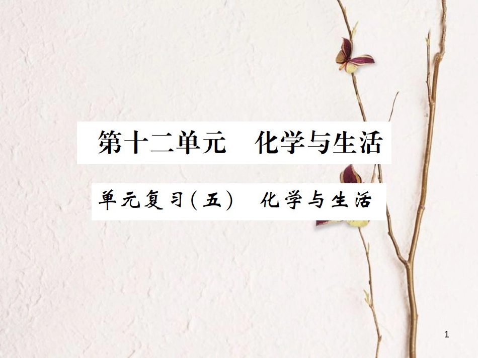 九年级化学下册 12 化学与生活 单元复习（五）化学与生活习题课件 （新版）新人教版_第1页