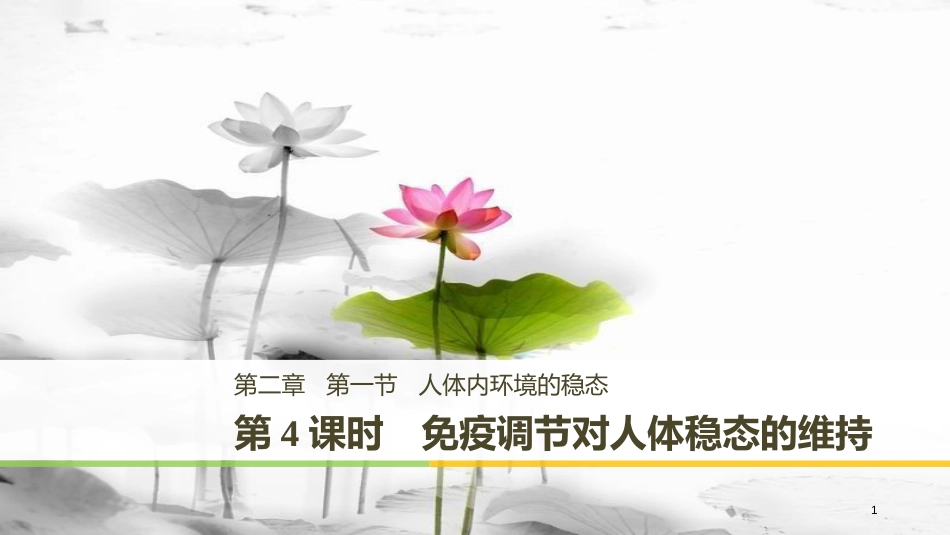 高中生物 第2章 细胞的化学组成 2.1.4 免疫调节对人体稳态的维持课件 苏教版必修1_第1页