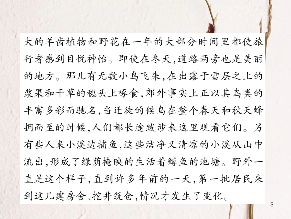 七年级语文下册 双休作业（十二）课件 新人教版_第3页