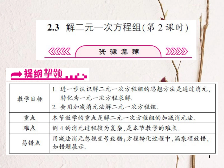 浙江省嘉兴市秀洲区七年级数学下册 第2章 二元一次方程组 2.3 解二元一次方程组（第2课时）课件 （新版）浙教版_第1页