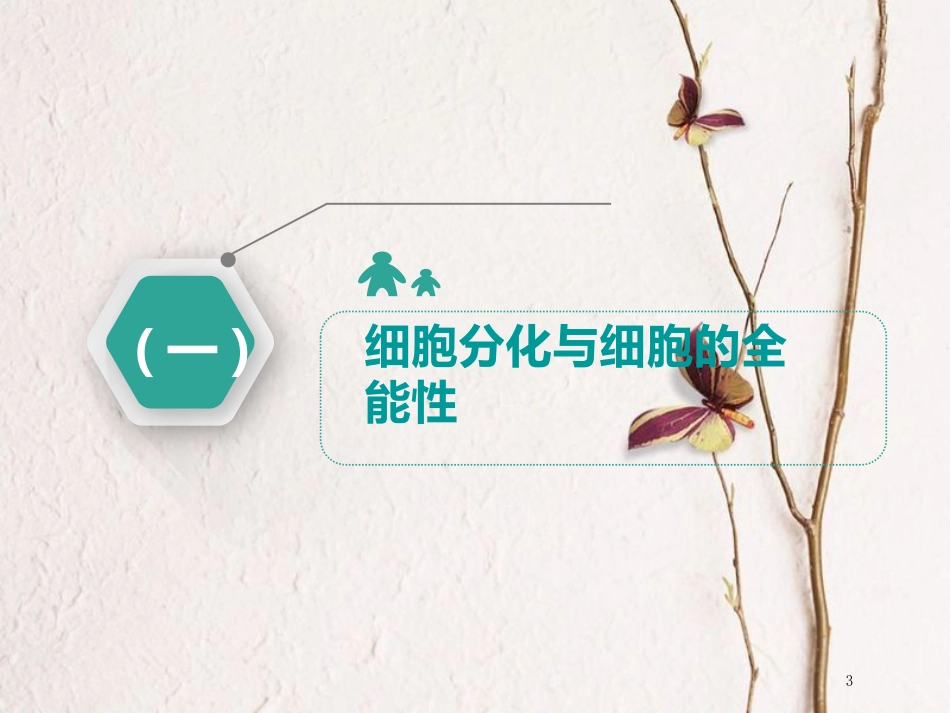 （全国通用版）2019版高考生物一轮复习 第1部分 分子与细胞 第四单元 细胞的生命历程 第4讲 细胞的分化、衰老、凋亡和癌变课件_第3页