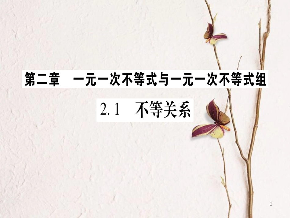 八年级数学下册 第2章 一元一次不等式和一元一次不等式组 2.1 不等关系习题课件 （新版）北师大版_第1页