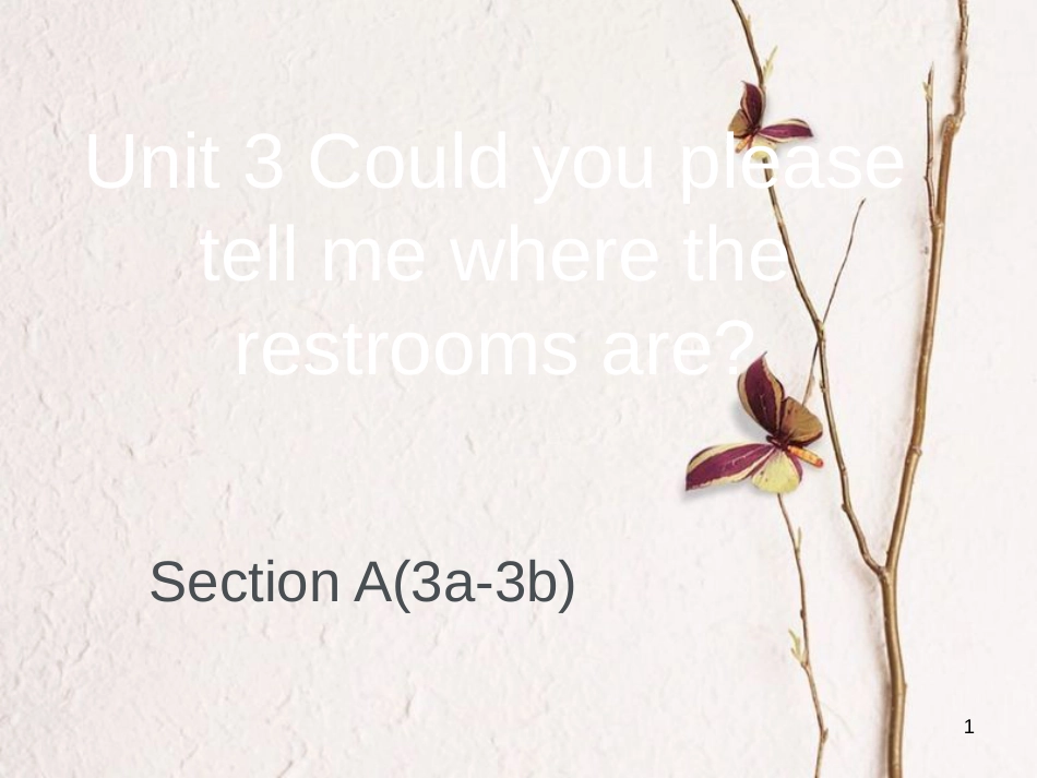 广东省汕尾市陆丰市九年级英语全册 Unit 3 Could you please tell me where the restrooms are Section A（3a-3b）课件 （新版）人教新目标版_第1页