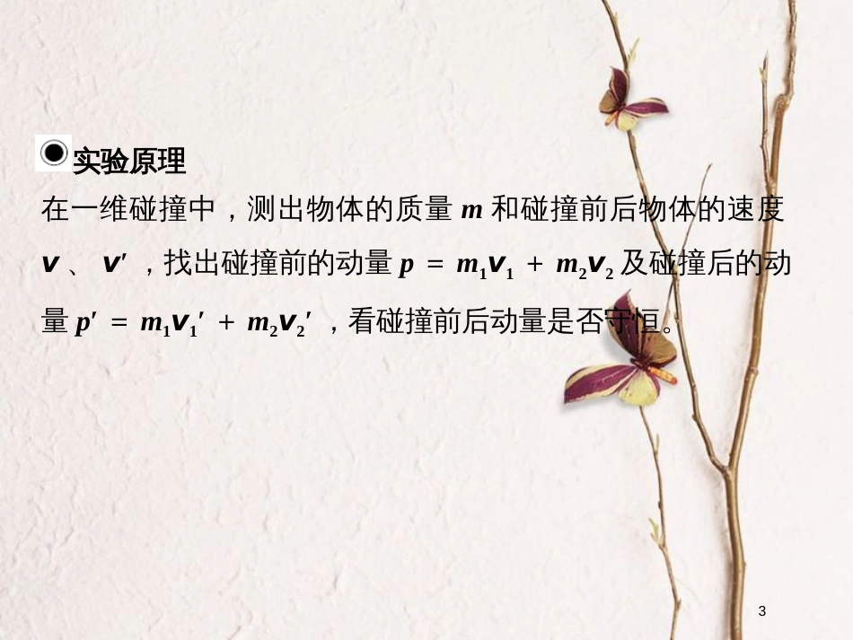 （浙江专版）2019版高考物理大一轮复习 第十二章 动量守恒定律 波粒二象性原子结构与原子核 实验19 探究碰撞中的不变量课件_第3页