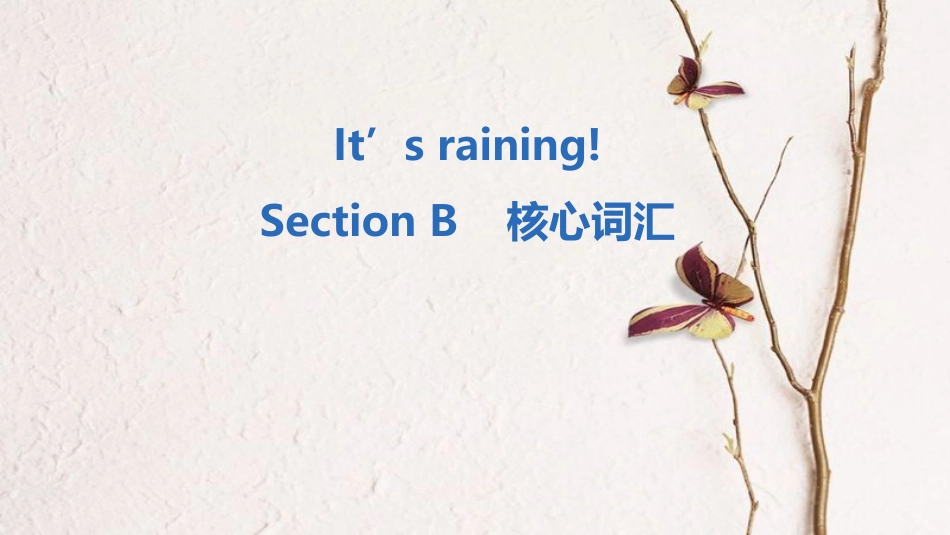 七年级英语下册 Unit 7 It’s raining Section B核心词汇课件 （新版）人教新目标版_第1页