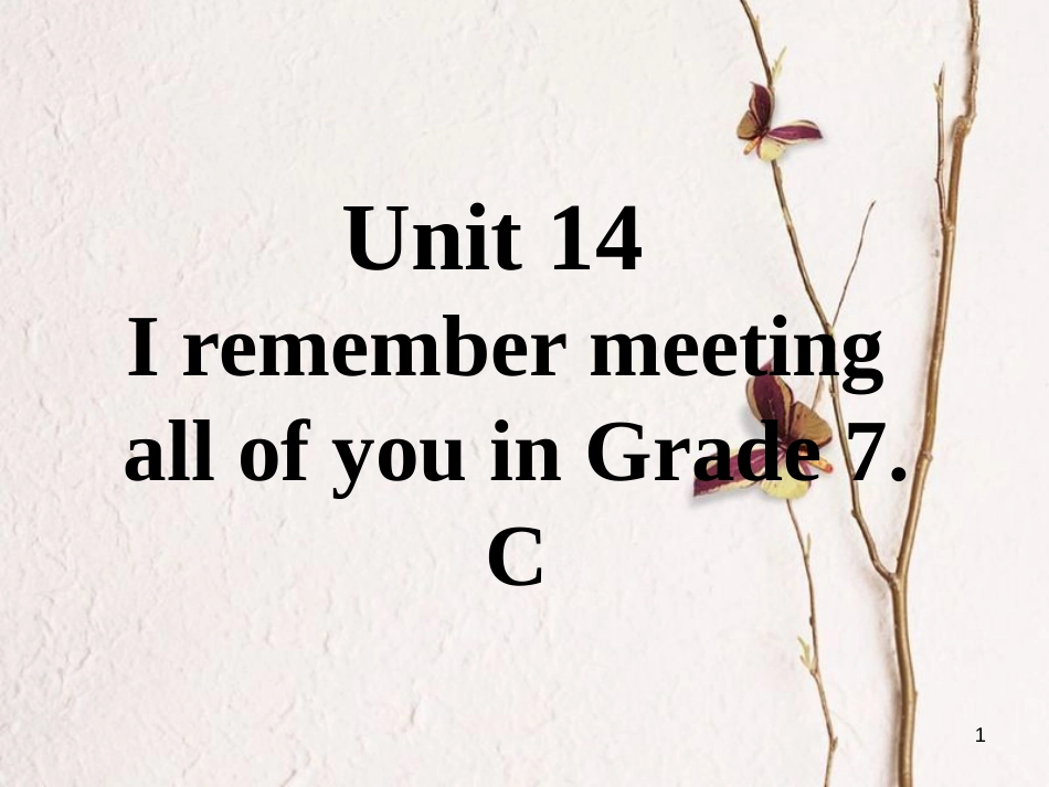 九年级英语全册 口头表达专练 Unit 14 I remember meeting all of you in Grade 7 C课件 （新版）人教新目标版_第1页