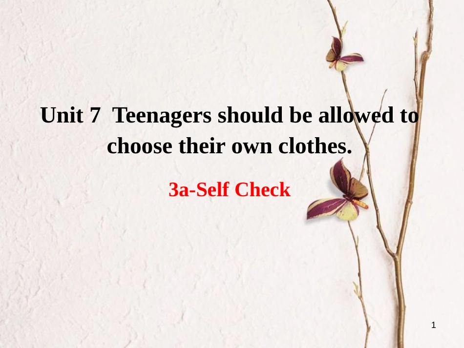 甘肃省武威市民勤县九年级英语全册 Unit 7 Teenagers should be allowed to choose their own clothes（第5课时）课件 （新版）人教新目标版_第1页