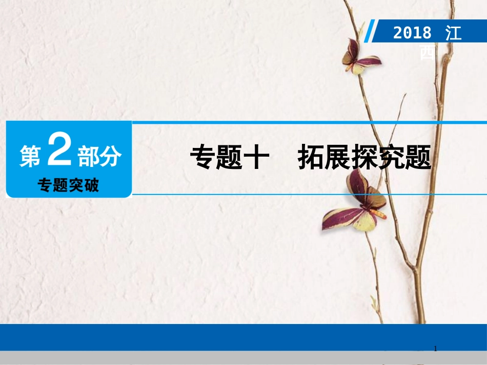 江西省中考数学总复习 第2部分 专题突破 专题十 拓展探究题课件_第1页