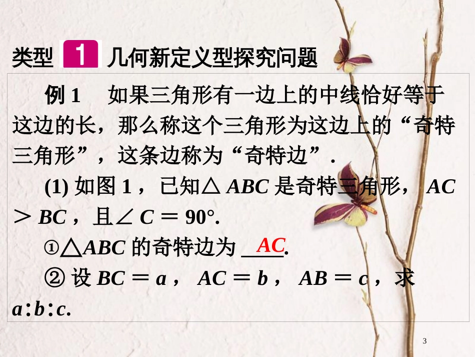 江西省中考数学总复习 第2部分 专题突破 专题十 拓展探究题课件_第3页