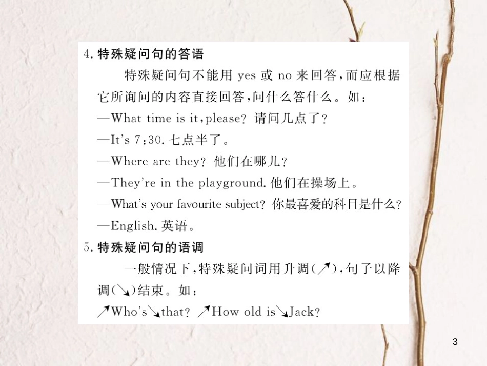 七年级英语下册 Module 5 Shopping语法精讲作业课件 （新版）外研版_第3页