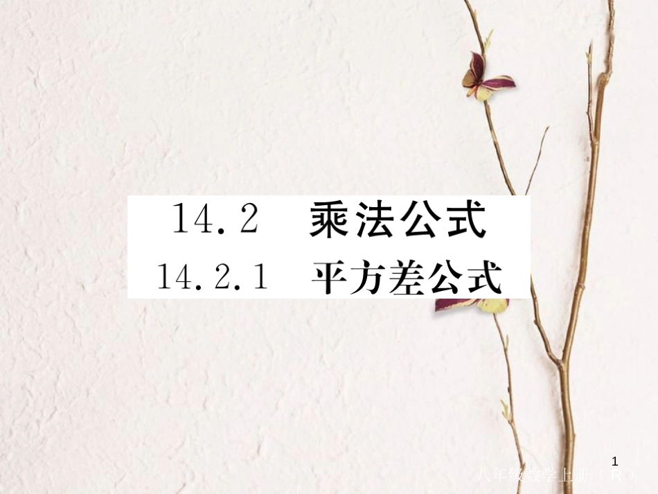 （贵州专用）八年级数学上册 14.2 乘法公式 14.2.1 平方差公式课件 （新版）新人教版_第1页