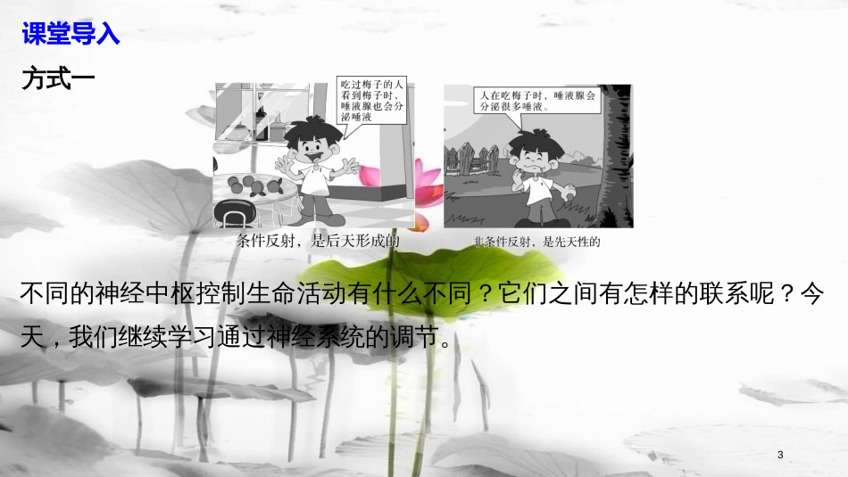 高中生物 第2章 细胞的化学组成 2.2.2 人体神经调节过程和人脑的高级功能课件 苏教版必修1_第3页