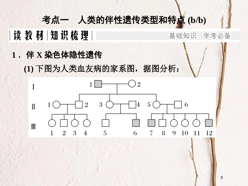 高中生物 第二章 染色体与遗传 第10课时 性染色体与伴性遗传（Ⅱ）同步备课课件 浙科版必修2_第3页