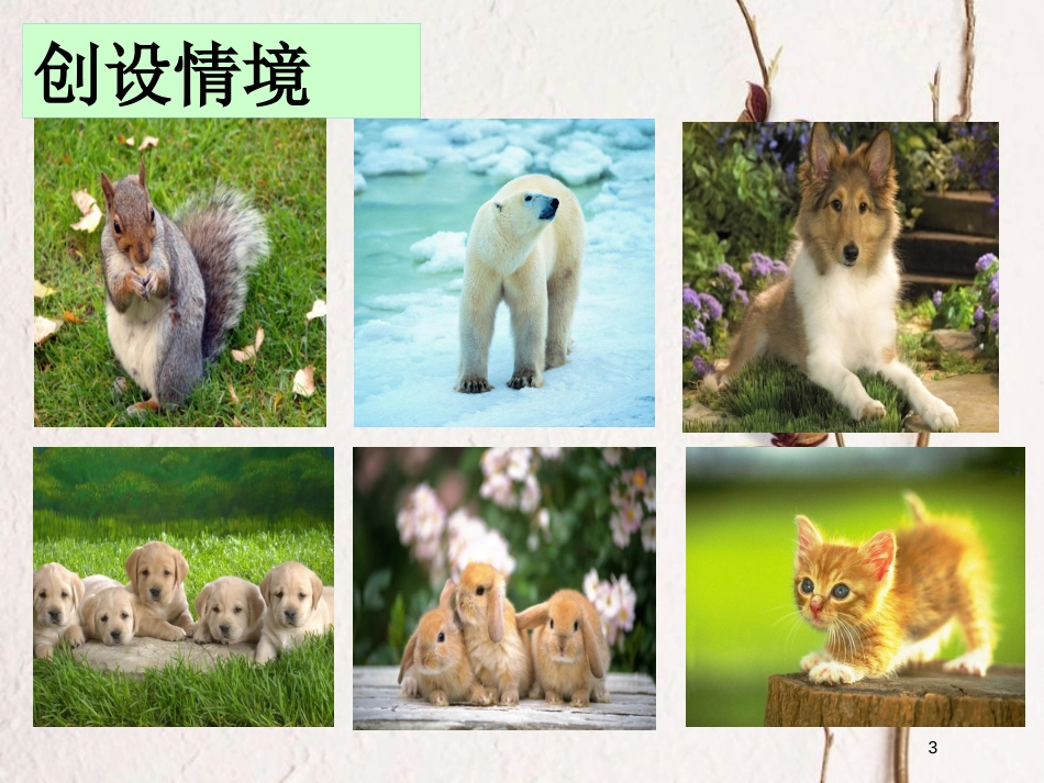 八年级生物上册 第6单元 第二章 认识生物的多样性课件 （新版）新人教版_第3页