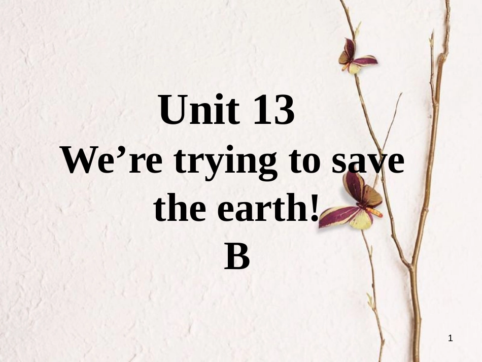 九年级英语全册 口头表达专练 Unit 13 We're trying to save the earth B课件 （新版）人教新目标版_第1页