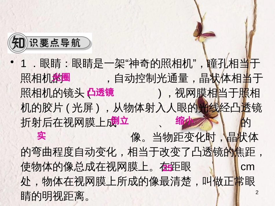 学年八年级物理全册 第四章 第六节 神奇的眼睛（第1课时 眼睛与视力的矫正）课件 （新版）沪科版_第2页
