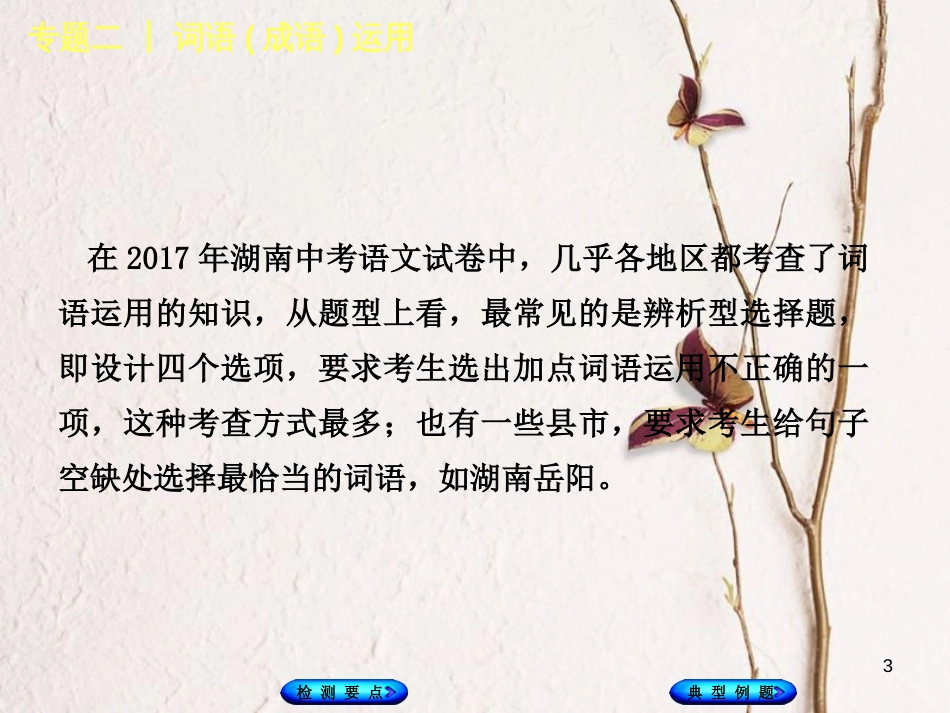 湖南省2018年中考语文 专题二 词语(成语)运用复习课件_第3页